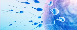 Male Infertility