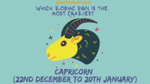 Capricorn (22nd December to 20th January)