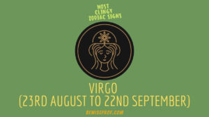 Virgo (23rd August to 22nd September) Most Clingy Zodiac Signs