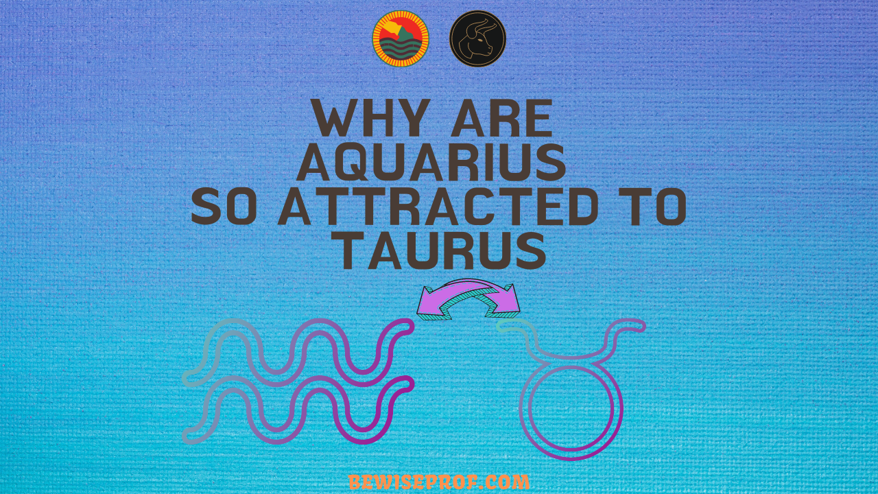 Why Are Aquarius So Attracted To Taurus