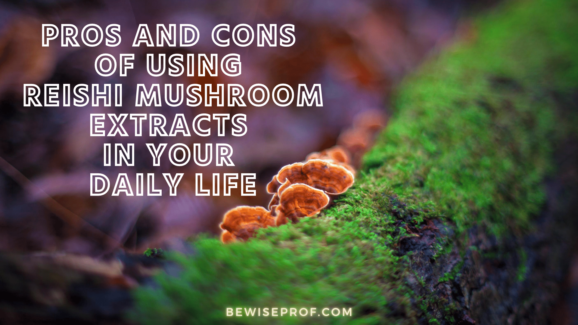 Pros and Cons of Using Reishi Mushroom Extracts In your Daily Life
