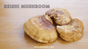 What Are Reishi Mushrooms?