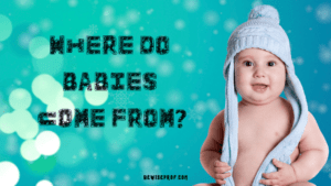 Where Do Babies Come From?