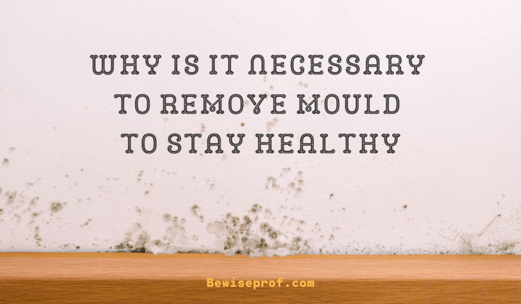 Why Is It Necessary To Remove Mould To Stay Healthy