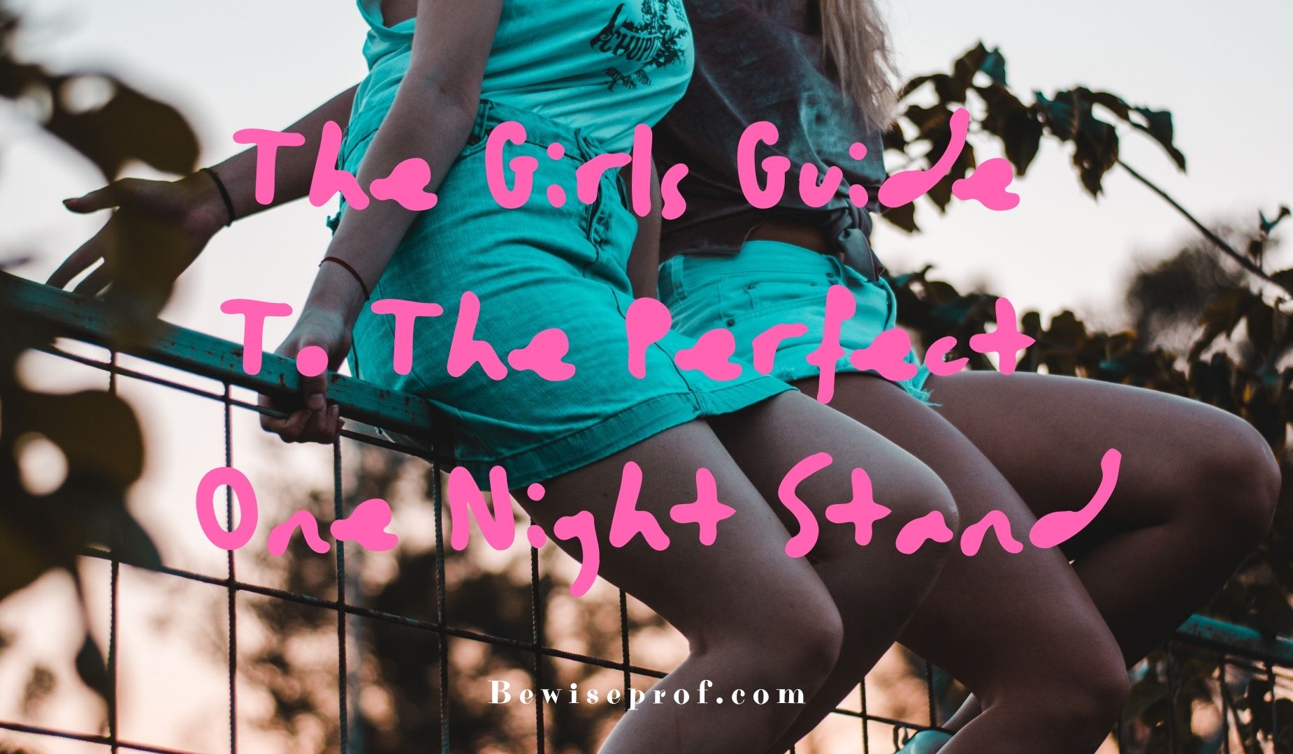 The girls guide to the perfect one night stand
