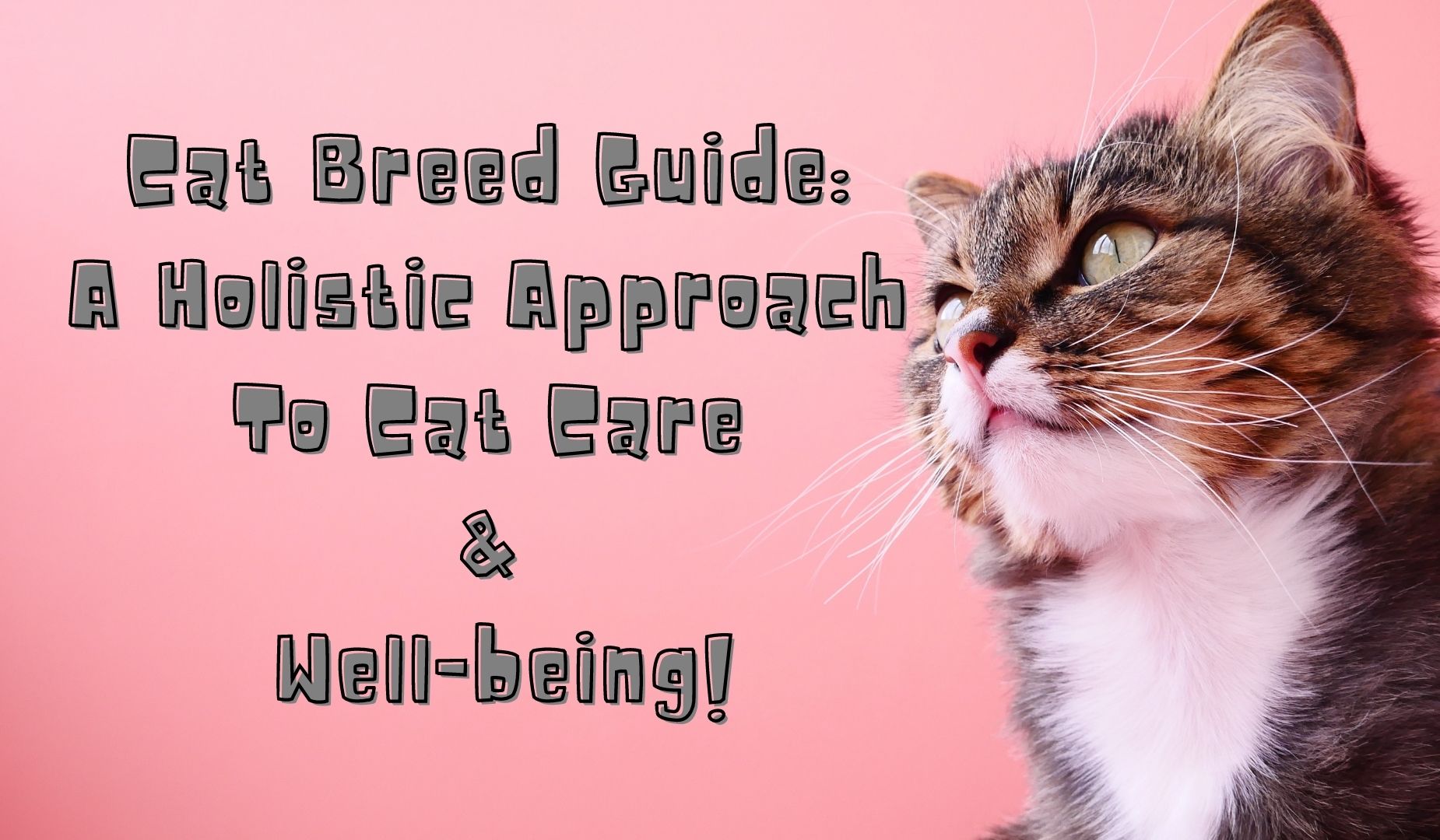 Cat Breed Guide: A Holistic Approach to Cat Care & Well-being!
