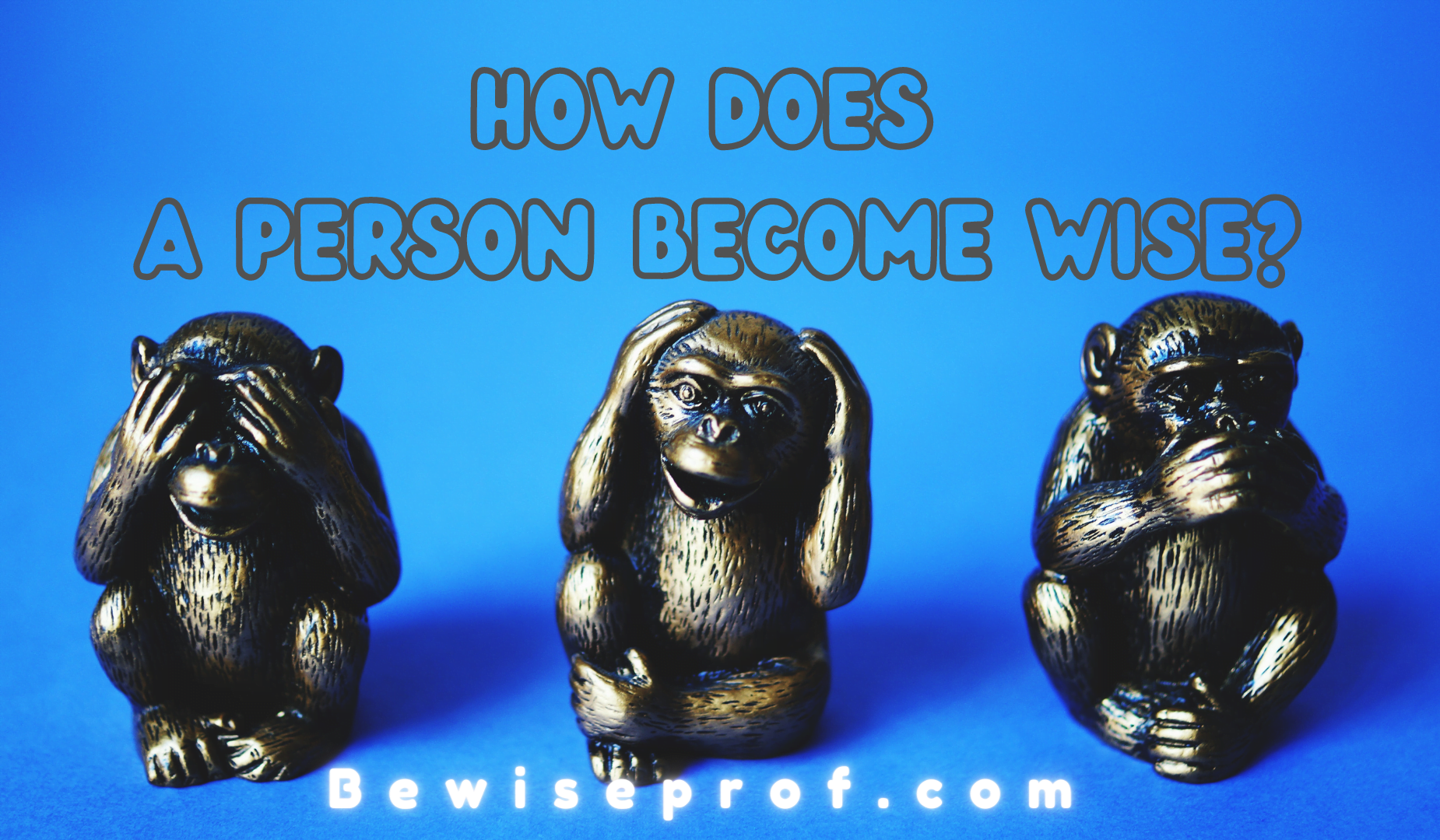 How Does A Person Become Wise?