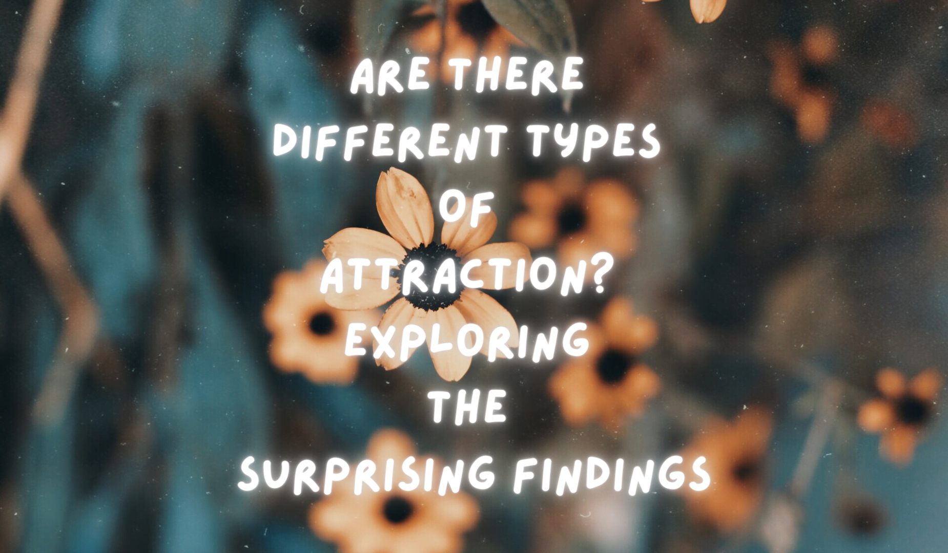 Are There Different Types Of Attraction? Exploring The Surprising Findings