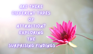 Are There Different Types Of Attraction? Exploring The Surprising Findings