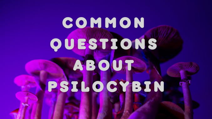 Common Questions About Psilocybin