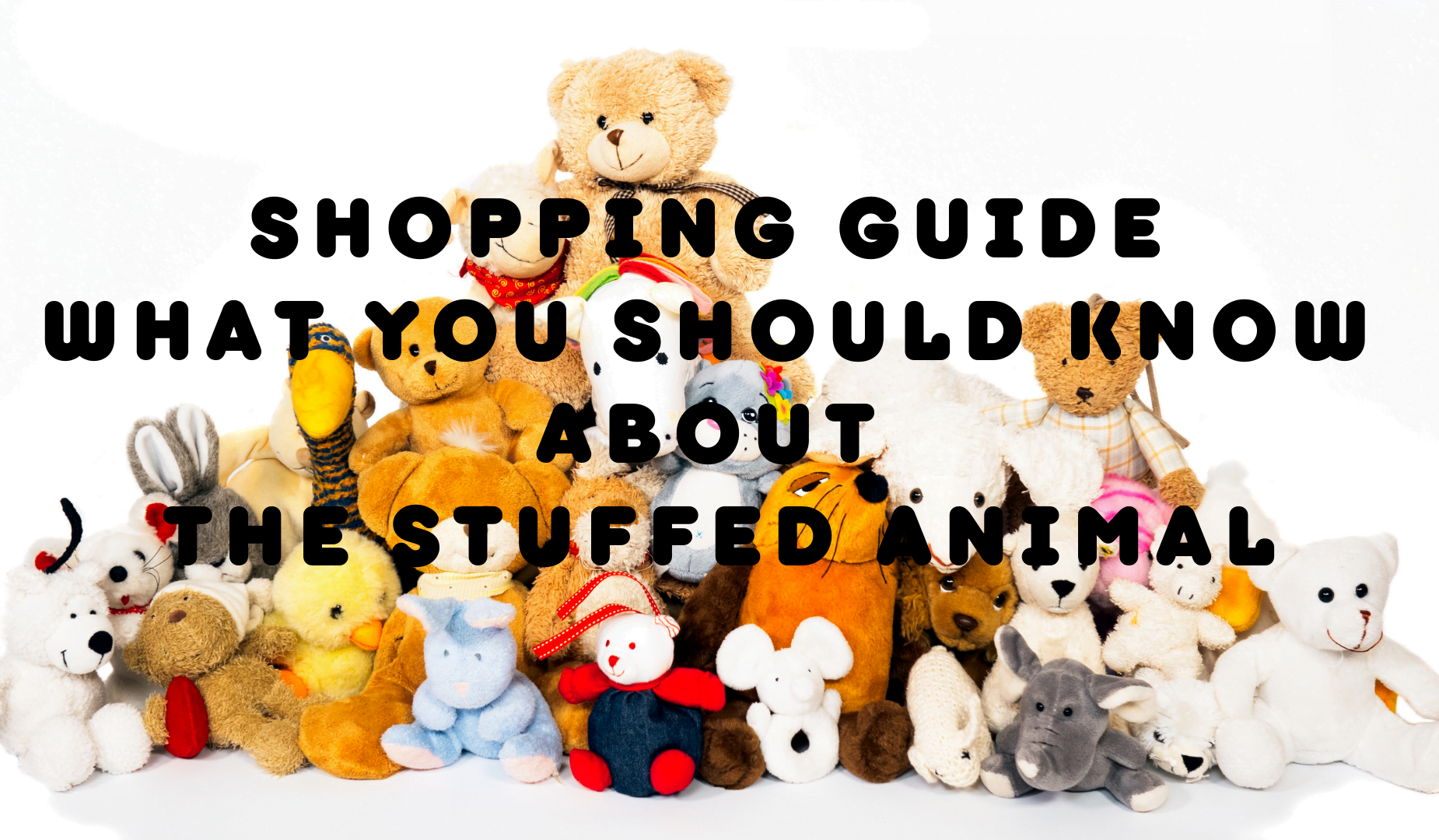 Shopping Guide: What You Should Know About The Stuffed Animal