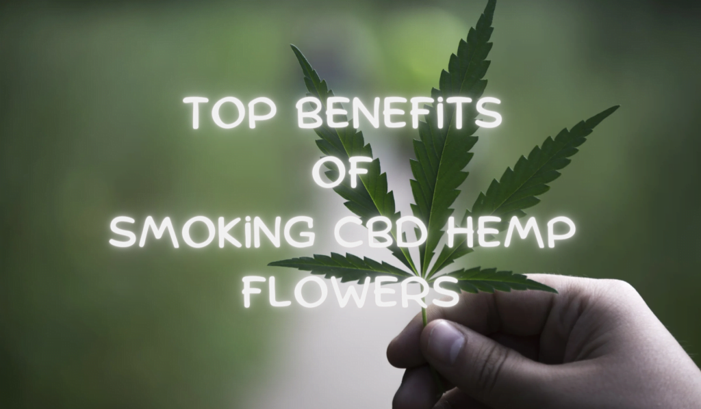 Top Benefits Of Smoking CBD Hemp Flowers