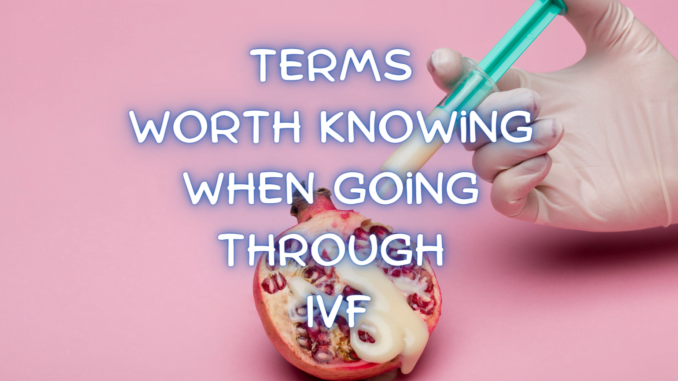 Terms Worth Knowing When Going Through IVF