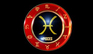 What Are The Water Signs | Pisces Element Sign