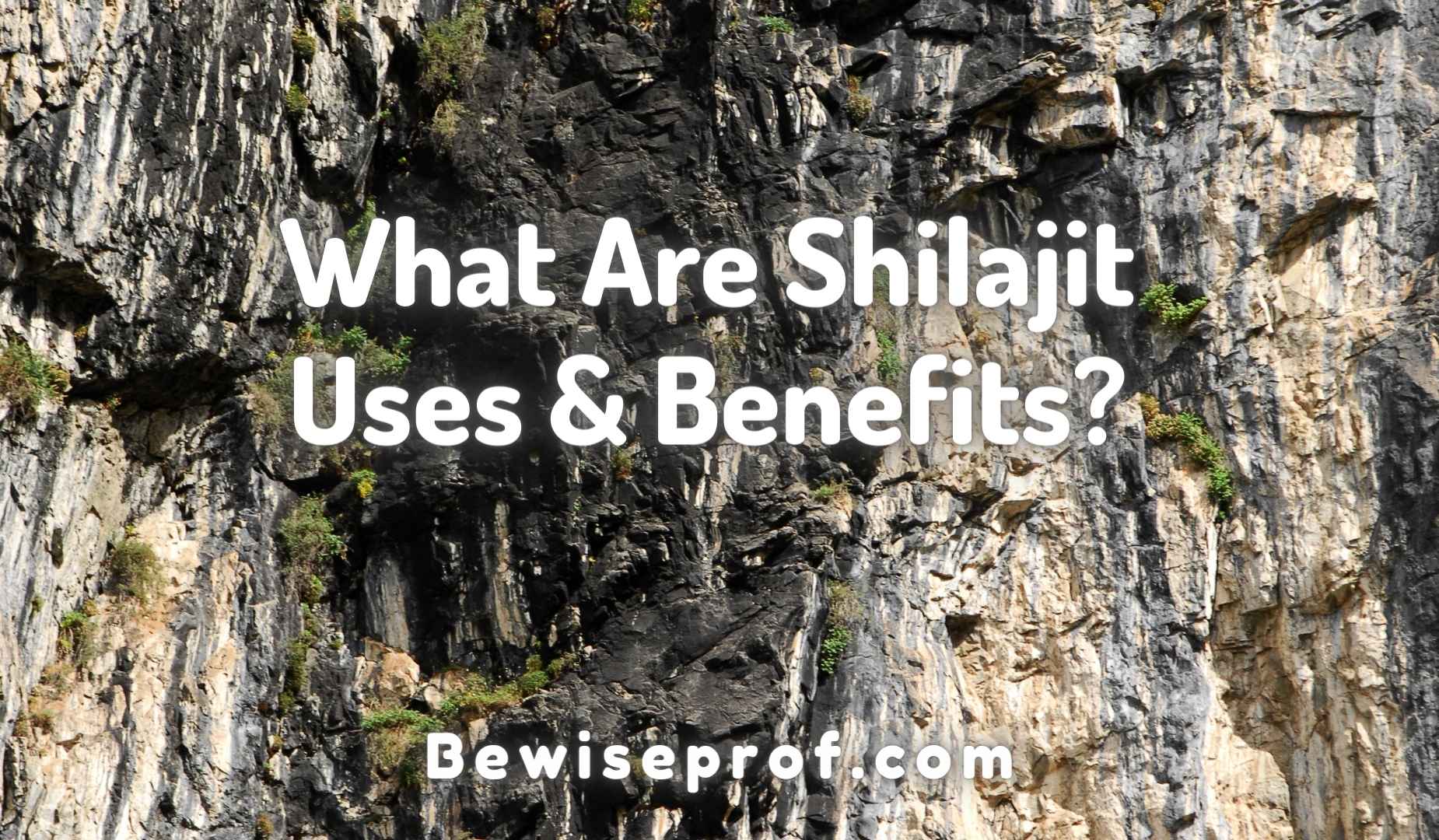 What Are Shilajit Uses & Benefits?