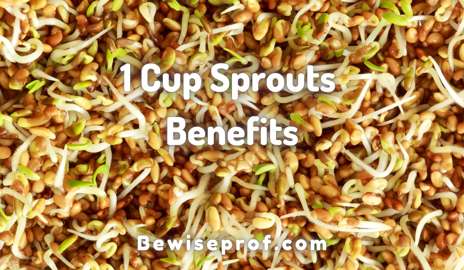 1 Cup Sprouts Benefits