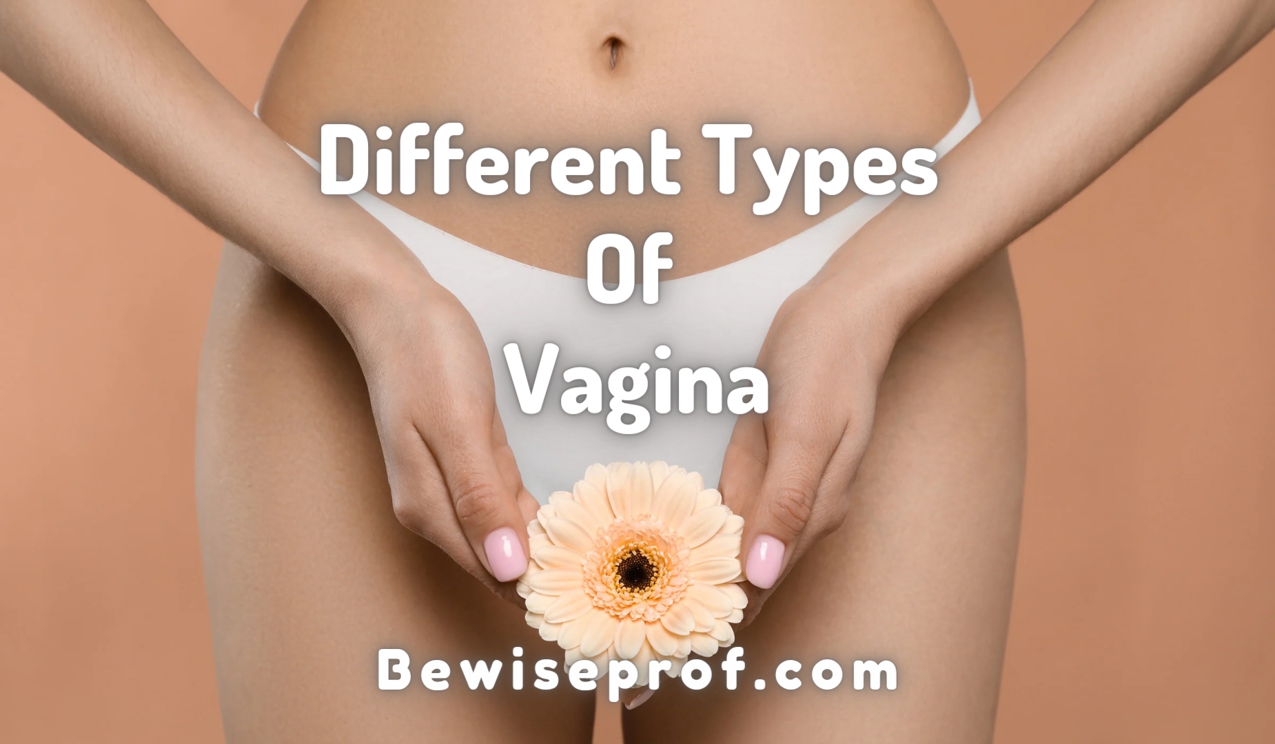 Different Types Of Vagina