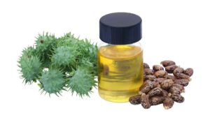 Castor Oil Uses And Benefits