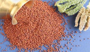 Ragi Benefits And Side Effects