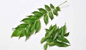 Curry Leaves Benefits That You Must Know