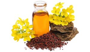 Mustard Oil For Hair