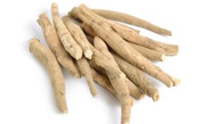 Ashwagandha Benefits For Females