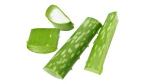 Aloe Vera Benefits, Uses, Effects