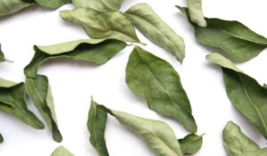 Curry Leaves Benefits That You Must Know