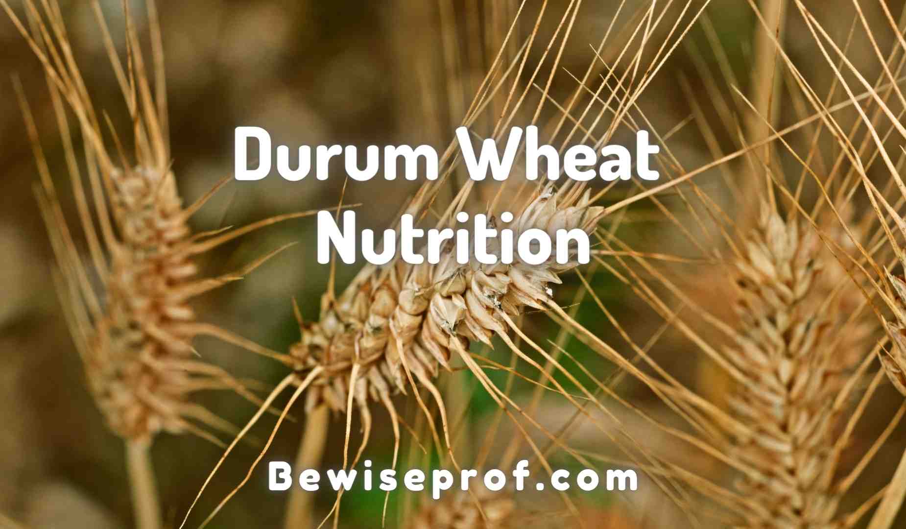 Durum Wheat Nutrition