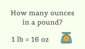 Ounces In One Pound Of Body Weight