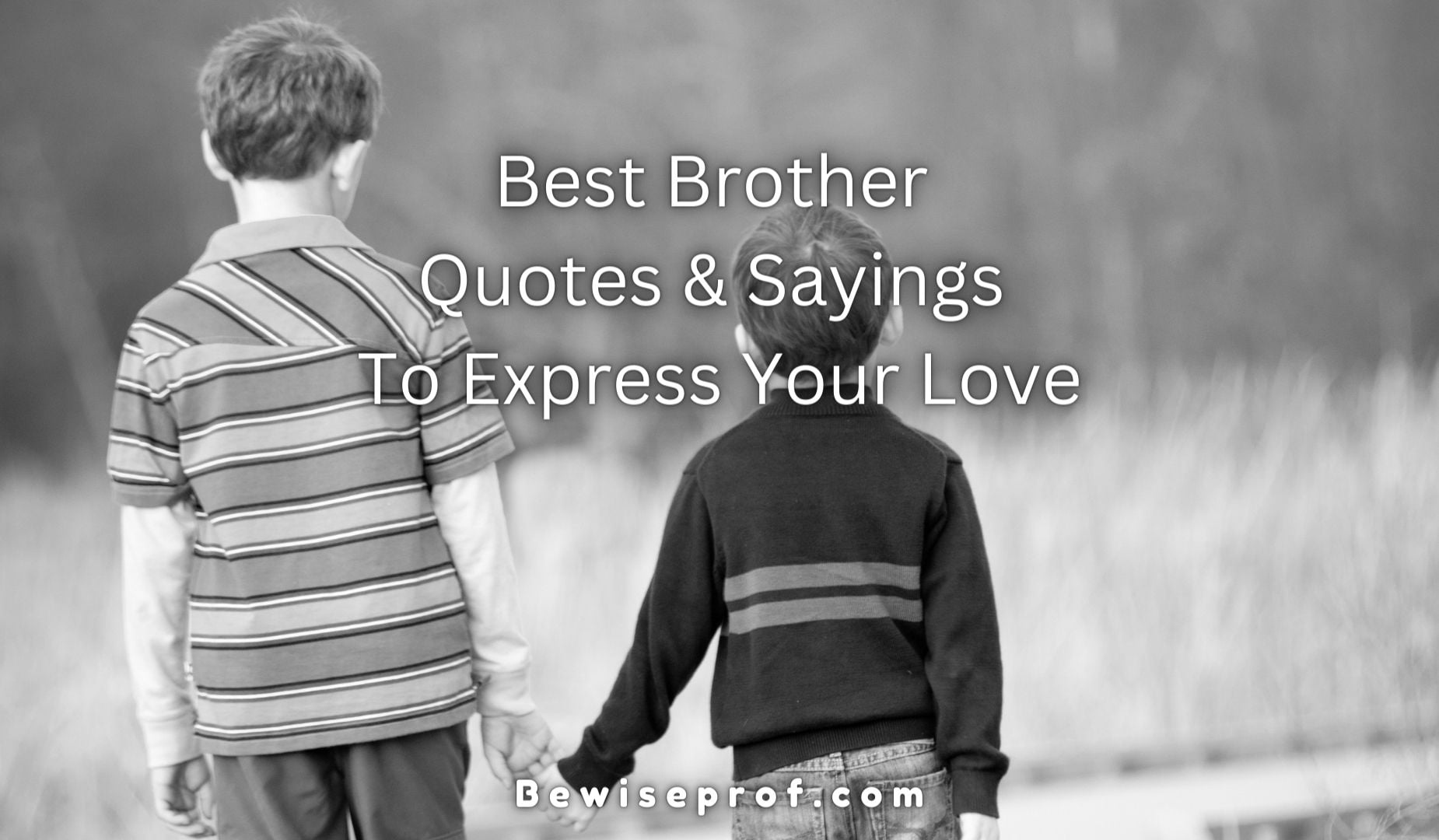 Best Brother Quotes & Sayings To Express Your Love