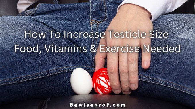 How To Increase Testicle Size