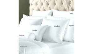 Best Euro Pillow Size -Guide To Pillow Sizes