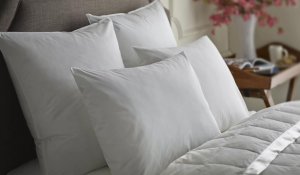 Best Euro Pillow Size -Guide To Pillow Sizes