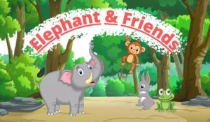 Elephant And Friends