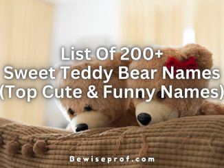 ບັນຊີລາຍຊື່ຂອງ 200+ ຊື່ Teddy ຫມີຫວານ