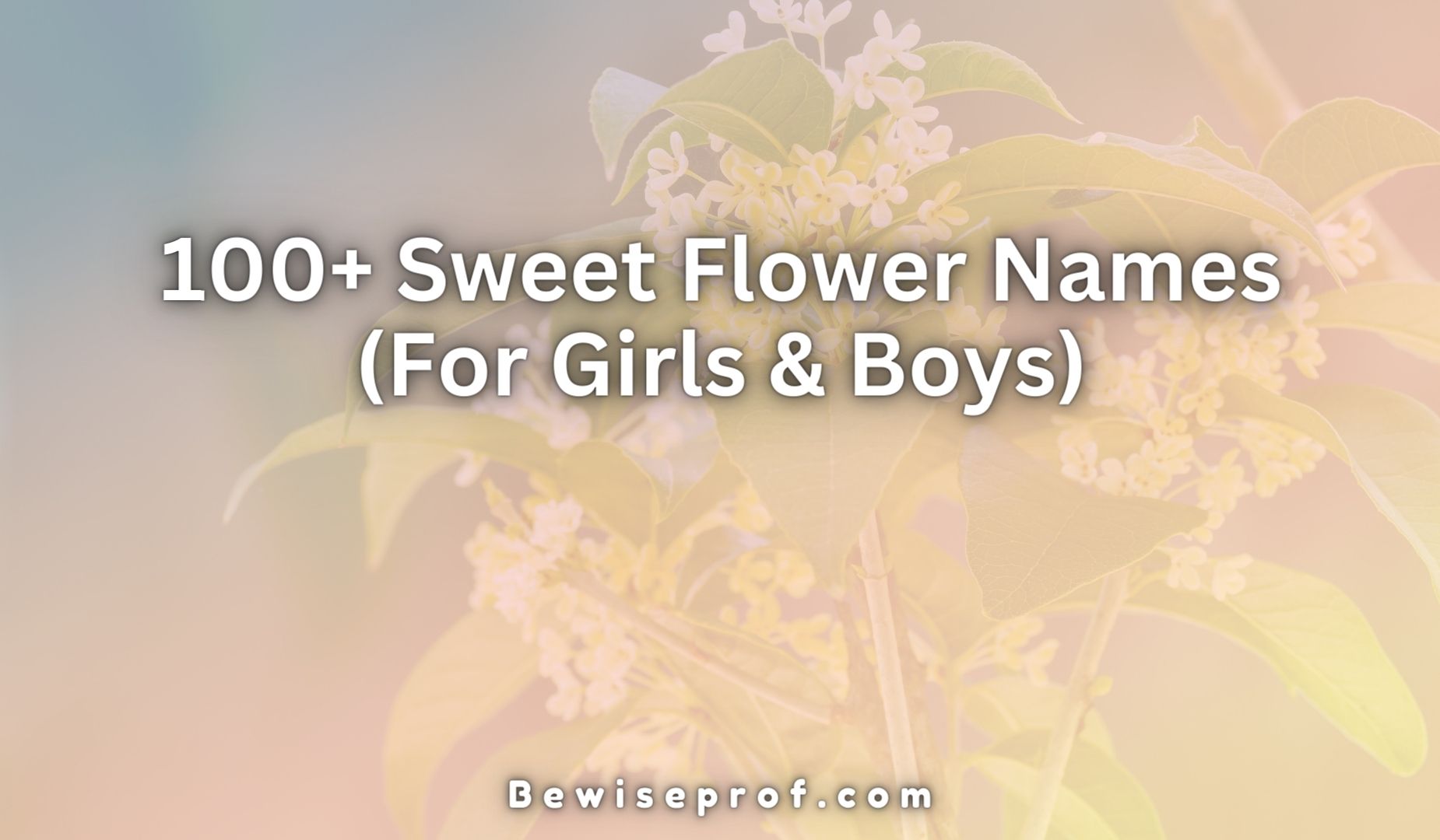 100+ Sweet Flower Names