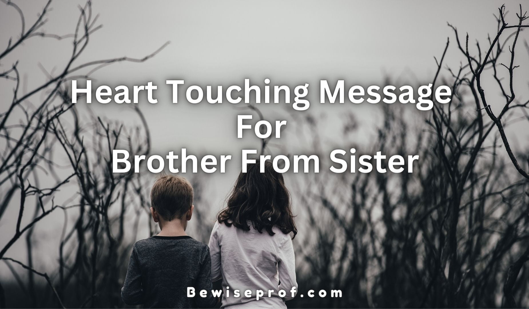Heart Touching Message For Brother From Sister