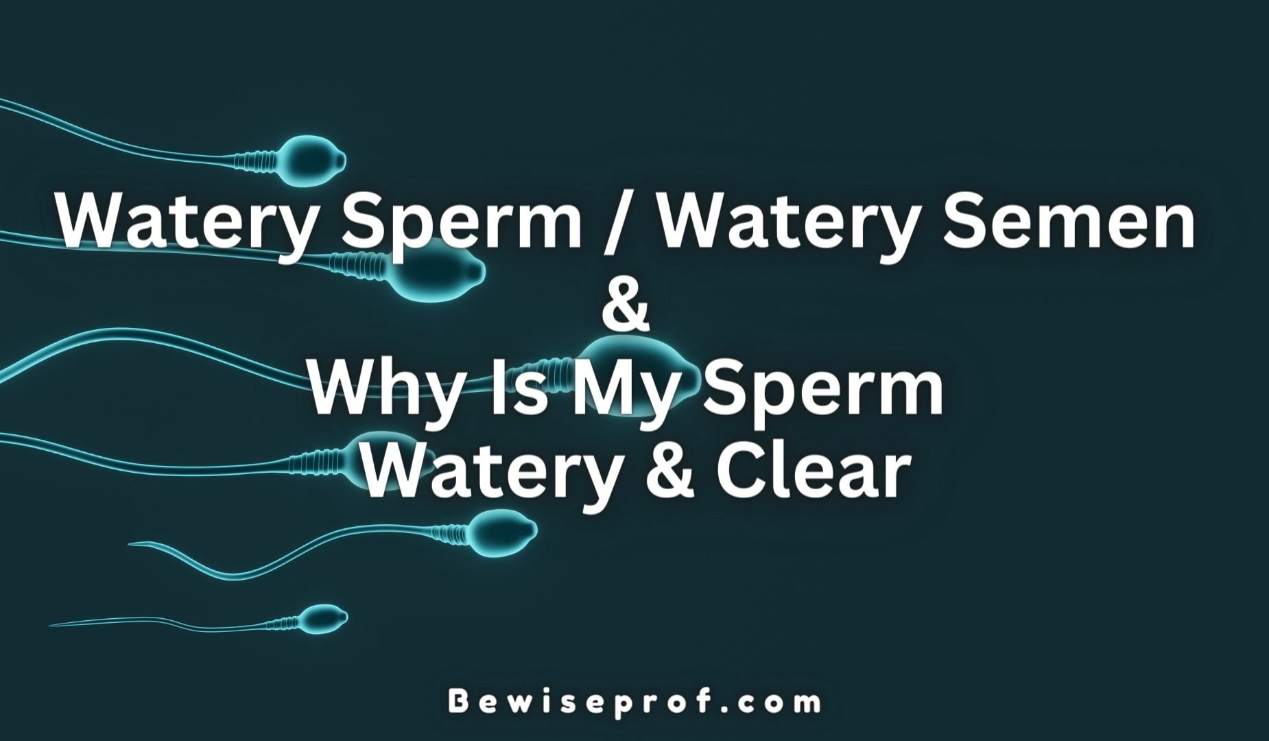 Watery Sperm / Watery Semen & Why Is My Sperm Watery And Clear