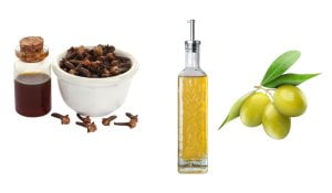 Olive and Cloves oil 