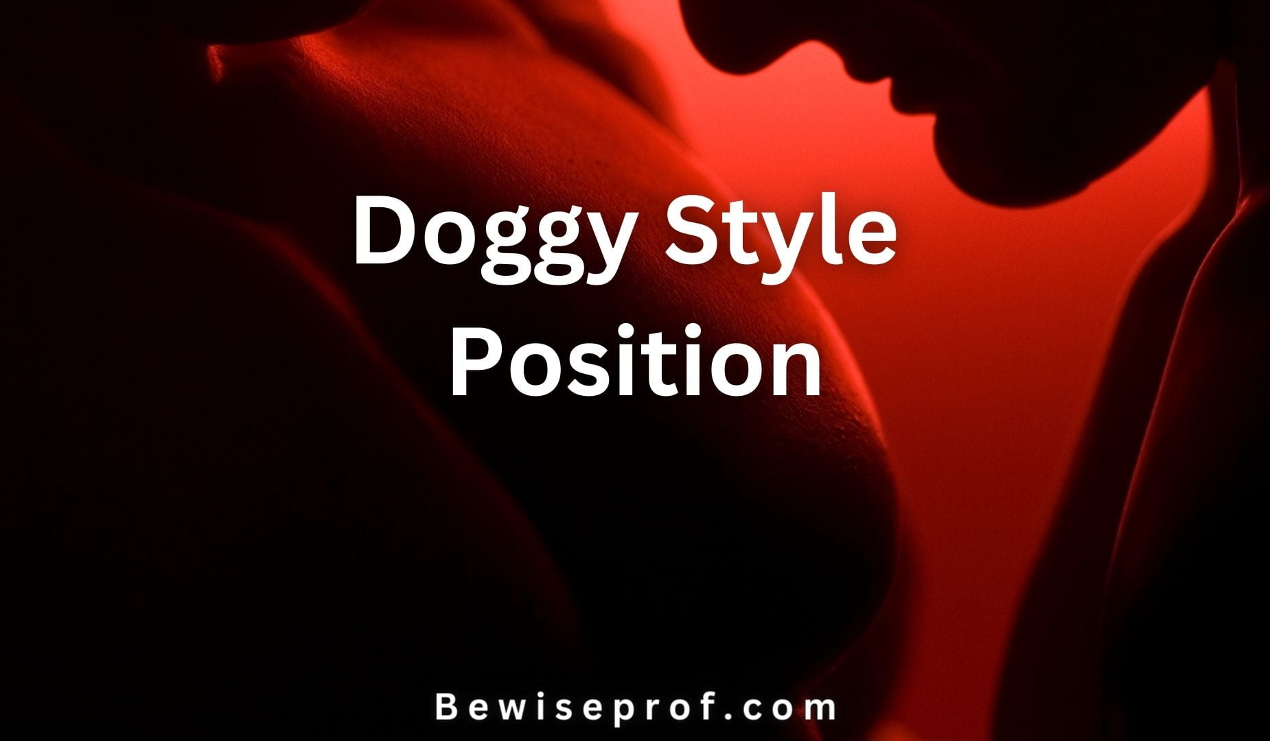 Doggy Style Position