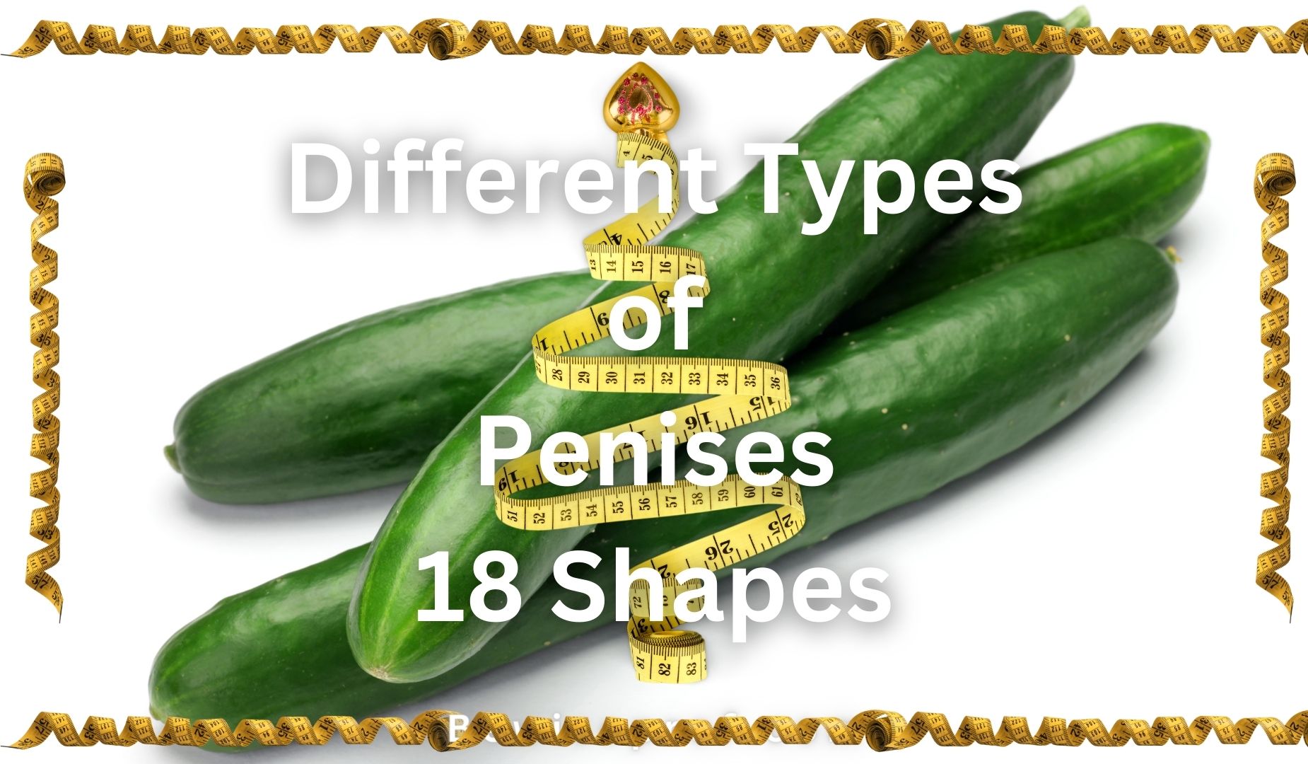 Different Types of Penises | 18 Shapes
