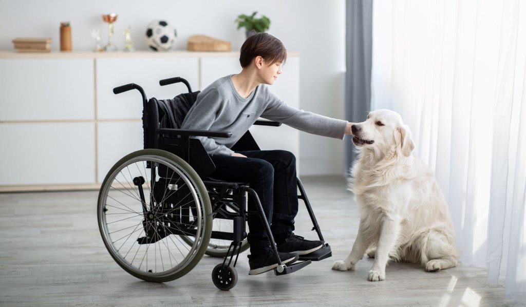The Benefits Of Animal-Assisted Therapy