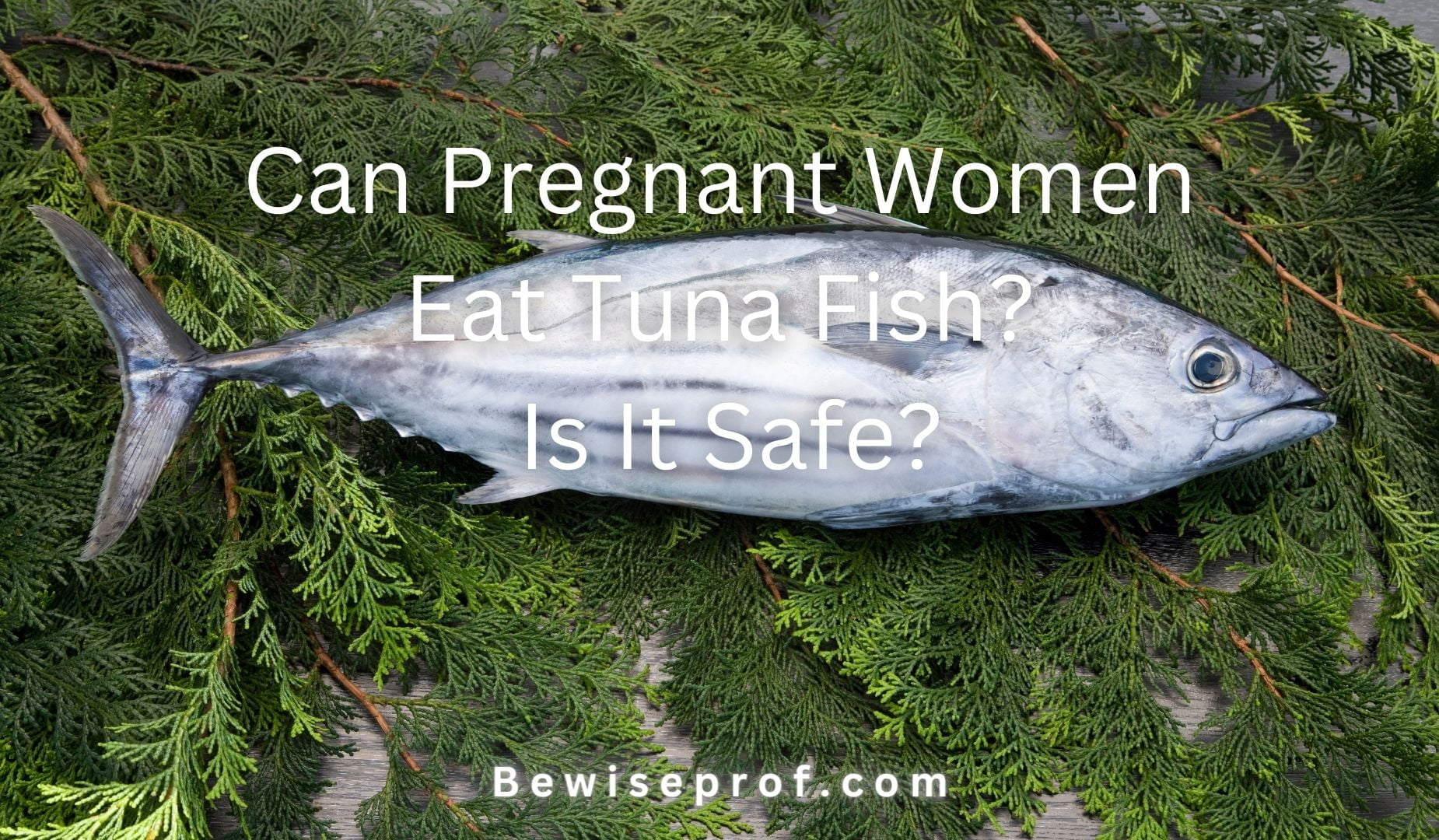 Can Pregnant Women Eat Tuna Fish? Is It Safe?