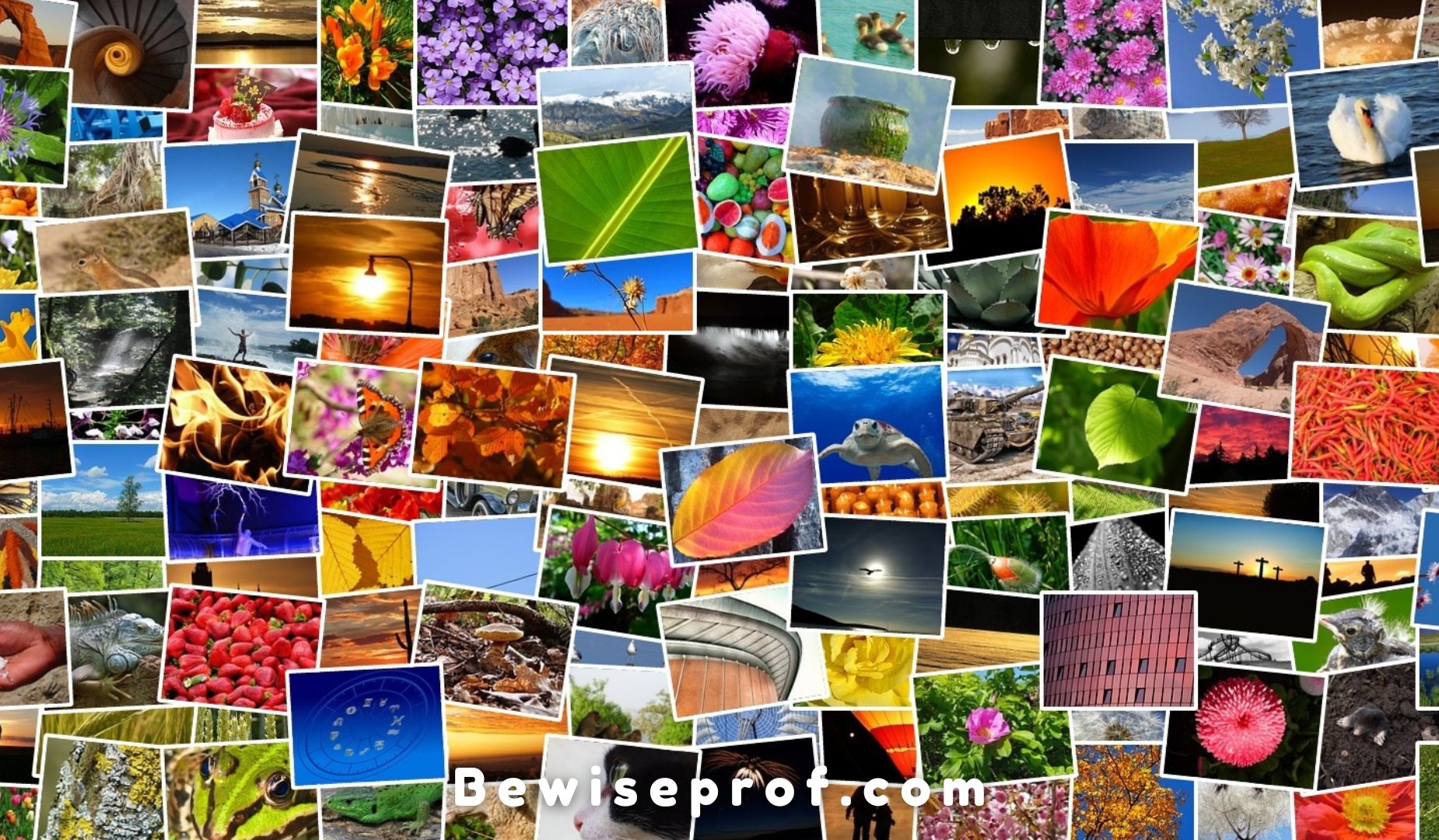 Photo Essay Examples, And Tips For Writing A Good Photo Essay