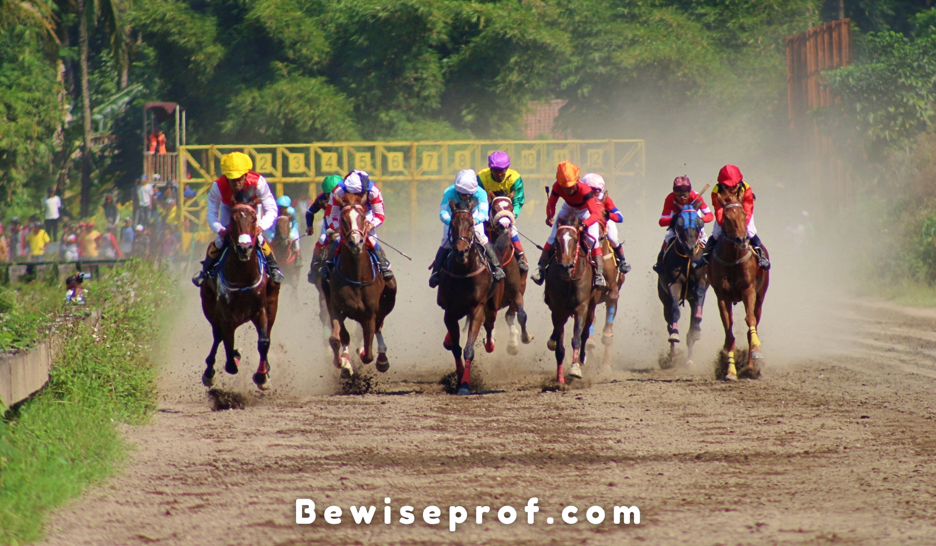 The Kentucky Derby Tradition